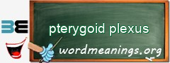 WordMeaning blackboard for pterygoid plexus